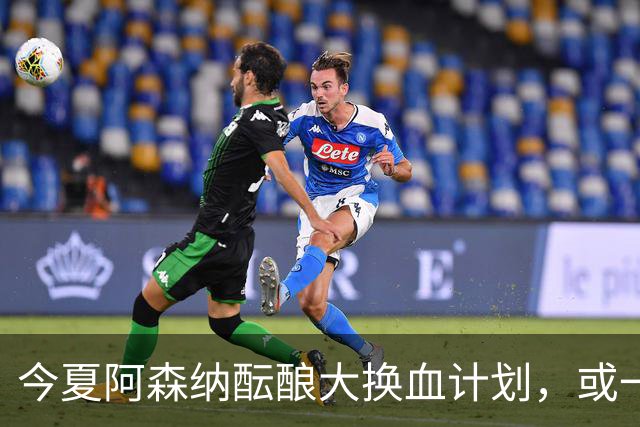 今夏阿森纳酝酿大换血计划，或一口气清洗8大悍将，豪购两大巨星