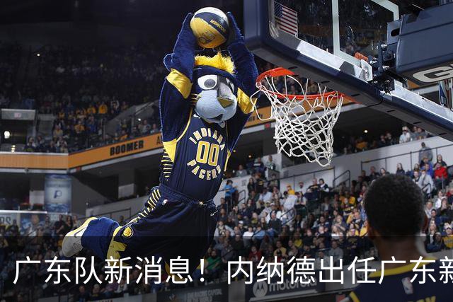 广东队新消息！内纳德出任广东新任主帅 徐昕新赛季回归宏远打球